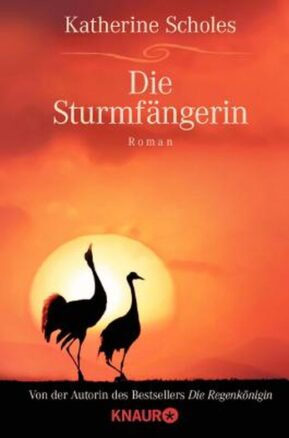Zusammenfassung des Buches Die Sturmfängerin
