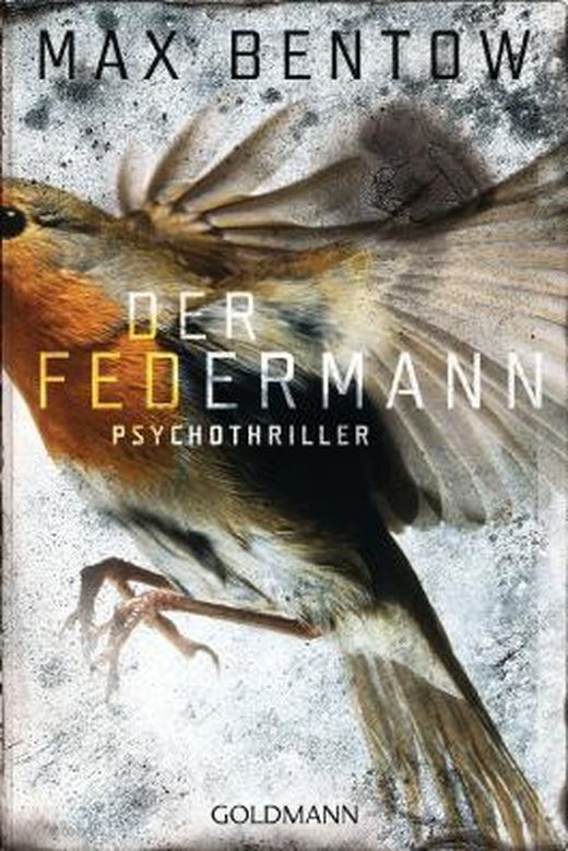 Zusammenfassung des Buches Der Federmann