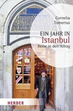 Zusammenfassung des Buches Ein Jahr in Istanbul