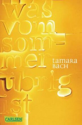 Zusammenfassung des Buches Was vom Sommer übrig ist