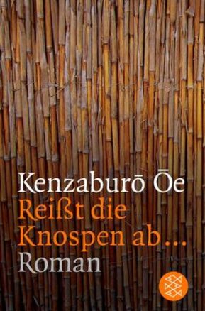 Zusammenfassung des Buches Reisst die Knospen ab...