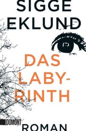 Zusammenfassung des Buches Das Labyrinth