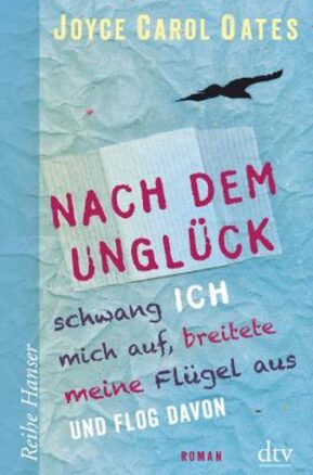Zusammenfassung des Buches Nach dem Unglück schwang ich mich auf, breitete meine Flügel aus und flog davon