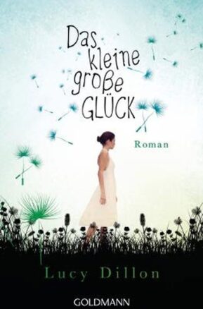 Zusammenfassung des Buches Das kleine große Glück