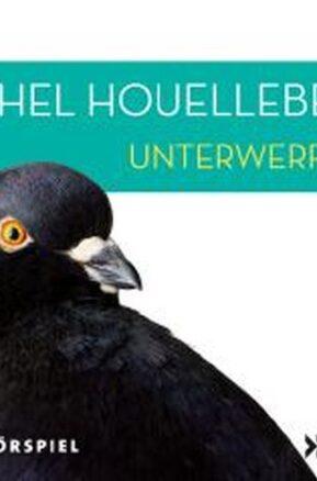 Zusammenfassung des Buches Unterwerfung