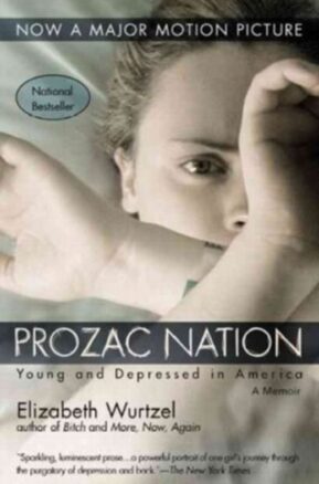 Zusammenfassung des Buches Prozac Nation