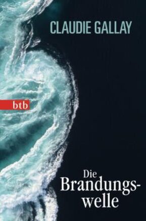 Zusammenfassung des Buches Die Brandungswelle