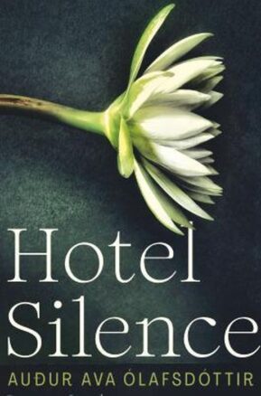 Zusammenfassung des Buches Hotel Silence