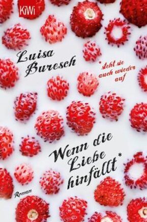 Zusammenfassung des Buches Wenn die Liebe hinfällt