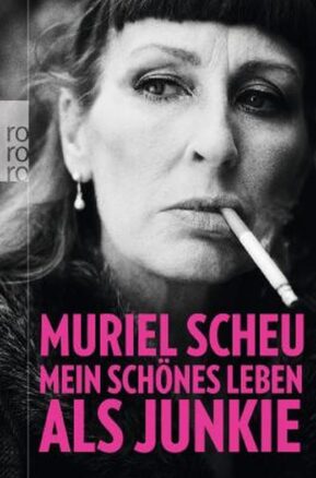 Zusammenfassung des Buches Mein schönes Leben als Junkie