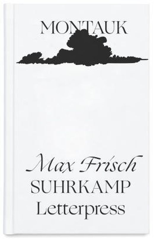 Zusammenfassung des Buches Montauk