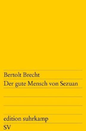 Zusammenfassung des Buches Der gute Mensch