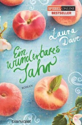 Zusammenfassung des Buches Ein wunderbares Jahr