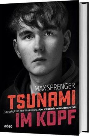 Zusammenfassung des Buches Tsunami im Kopf