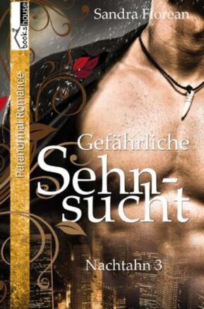Zusammenfassung des Buches Gefährliche Sehnsucht - Nachtahn 3