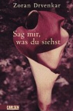Zusammenfassung des Buches Sag mir, was du siehst