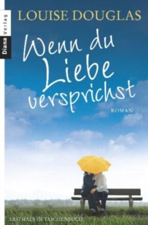 Zusammenfassung des Buches Wenn du Liebe versprichst