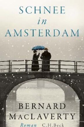 Zusammenfassung des Buches Schnee in Amsterdam