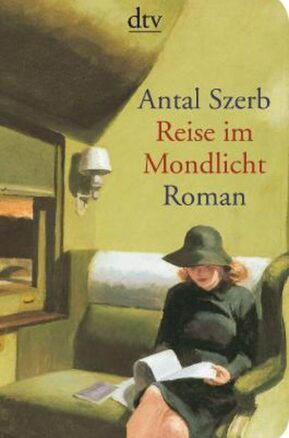 Zusammenfassung des Buches Reise im Mondlicht