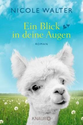 Zusammenfassung des Buches Ein Blick in deine Augen