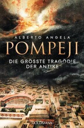 Zusammenfassung des Buches Pompeji
