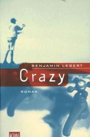 Zusammenfassung des Buches Crazy
