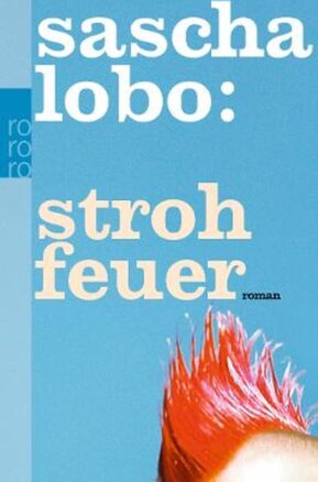 Zusammenfassung des Buches Strohfeuer