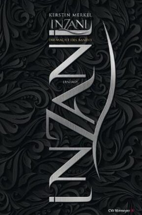 Zusammenfassung des Buches INZANI