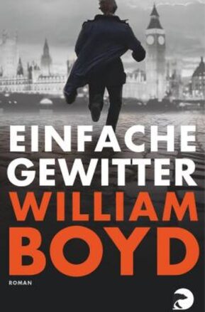 Zusammenfassung des Buches Einfache Gewitter