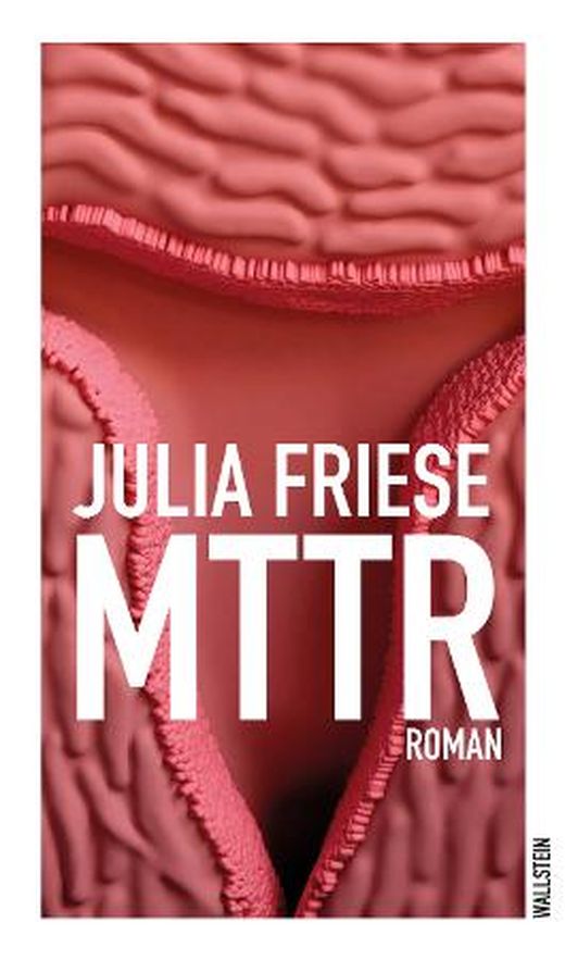 Zusammenfassung des Buches MTTR