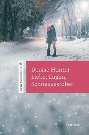 Zusammenfassung des Buches Liebe, Lügen, Schneegestöber