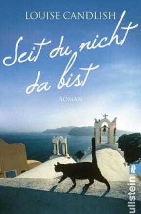 Zusammenfassung des Buches Seit du nicht da bist
