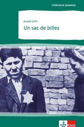 Zusammenfassung des Buches Un sac de billes