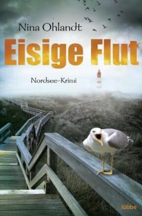 Zusammenfassung des Buches Eisige Flut