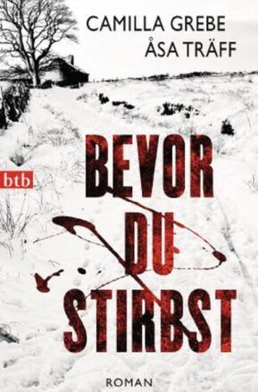 Zusammenfassung des Buches Bevor du stirbst