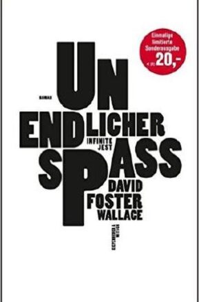 Zusammenfassung des Buches Unendlicher Spaß