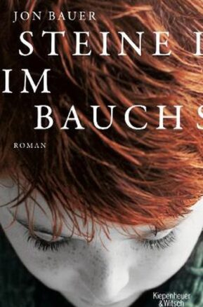 Zusammenfassung des Buches Steine im Bauch