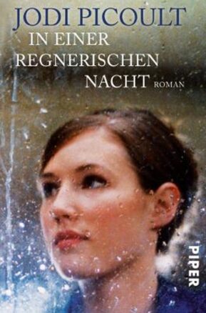 Zusammenfassung des Buches In einer regnerischen Nacht