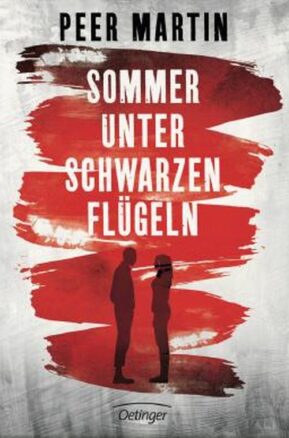Zusammenfassung des Buches Sommer unter schwarzen Flügeln