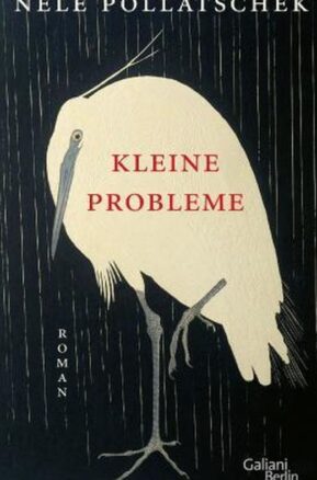Zusammenfassung des Buches Kleine Probleme