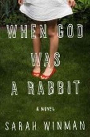Zusammenfassung des Buches When God Was a Rabbit