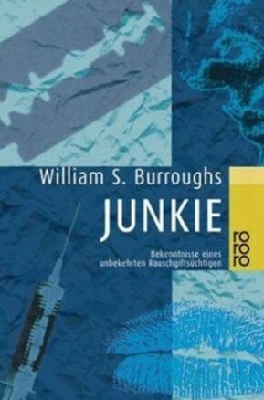 Zusammenfassung des Buches Junkie