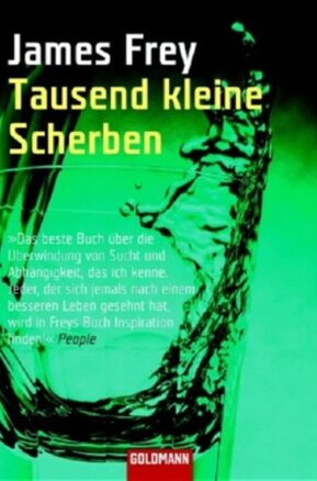 Zusammenfassung des Buches Tausend kleine Scherben