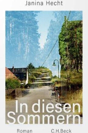 Zusammenfassung des Buches In diesen Sommern