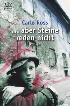 Zusammenfassung des Buches ... aber Steine reden nicht