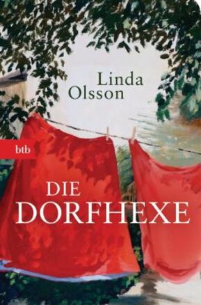 Zusammenfassung des Buches Die Dorfhexe