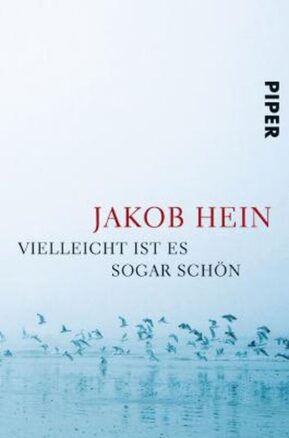 Zusammenfassung des Buches Vielleicht ist es sogar schön