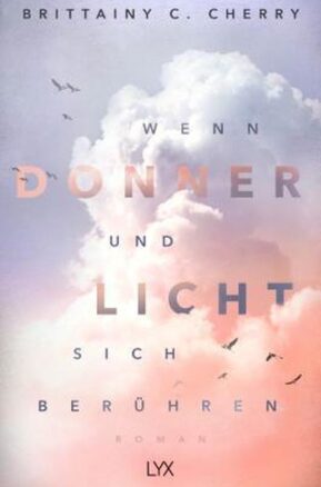 Zusammenfassung des Buches Wenn Donner und Licht sich berühren