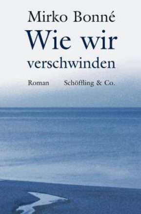 Zusammenfassung des Buches Wie wir verschwinden
