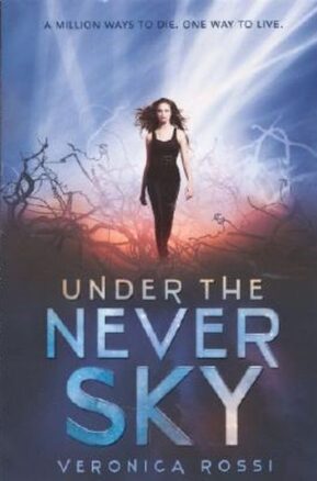 Zusammenfassung des Buches Under The Never Sky